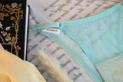 Mandy Stretch Mesh Panty in Oceanside
